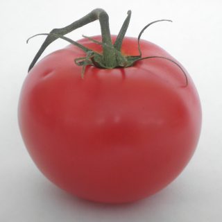 Tomato Out of the Box