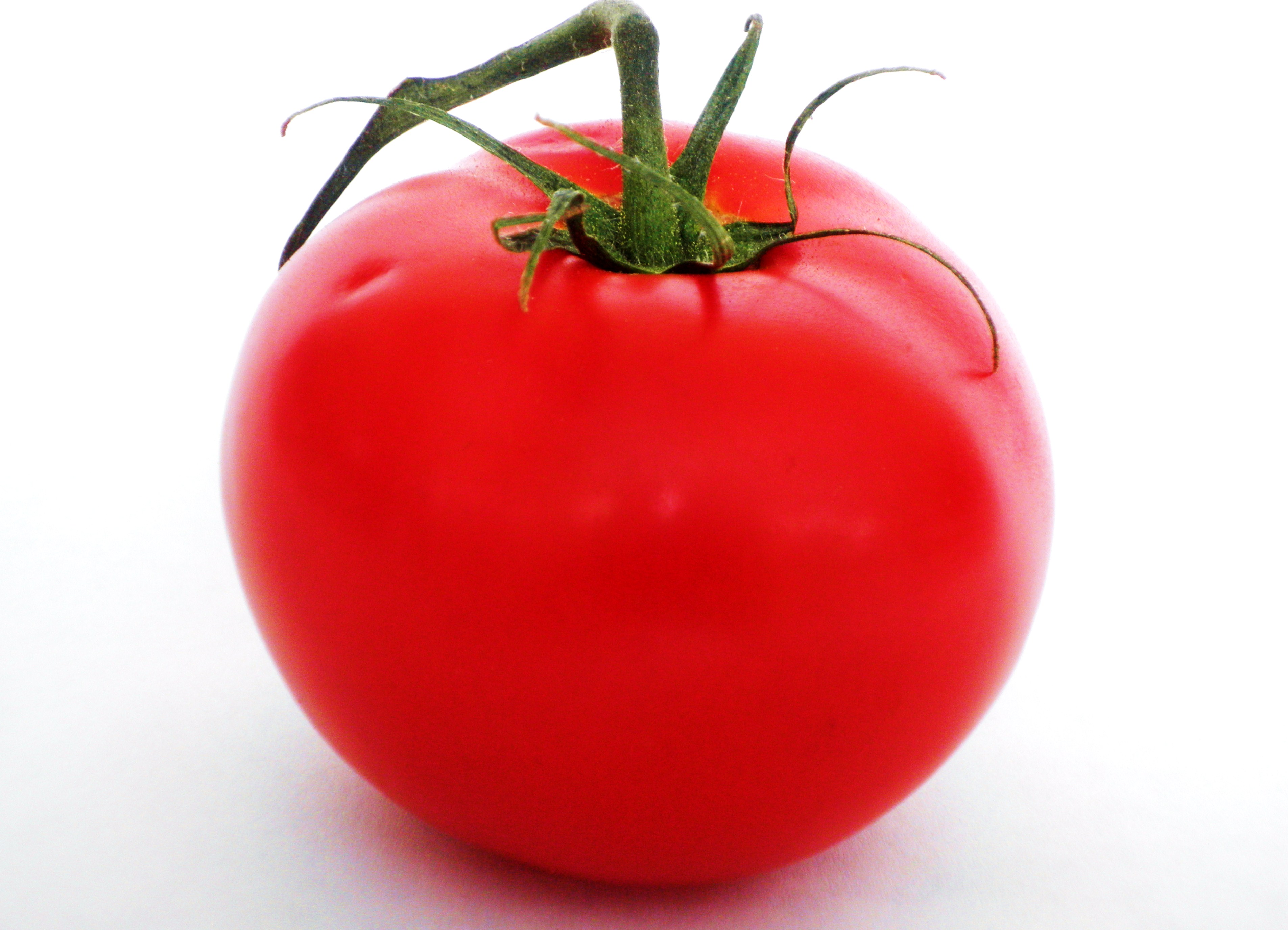 Tomato Images