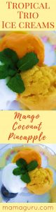 Tropical Ice Cream Trio: Mango Coconut and Pineapple