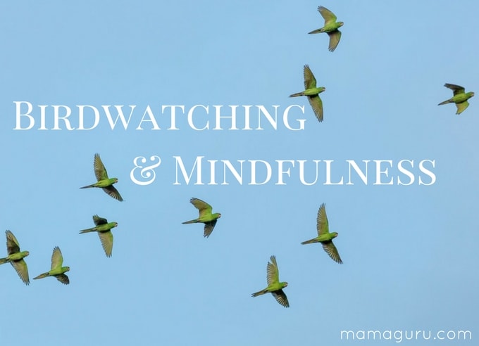 Birdwatching: A Beautiful Way to Practice Mindfulness