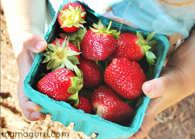 Homemade Low-Sugar Strawberry Jam