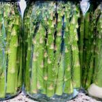 Making Groceries: Pickled Asparagus