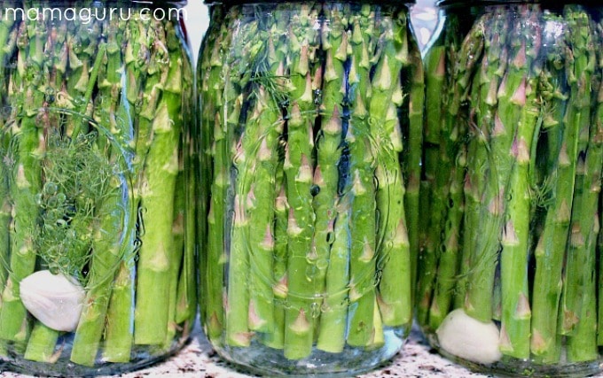 Homemade Pickled Asparagus