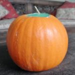 Simple Thanksgiving Centerpiece Ideas