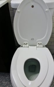 bathroom, thanksg, nana 008 (395x640)