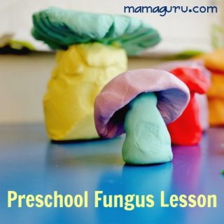 There’s a Fungus Among Us: Preschool Mushroom Lesson