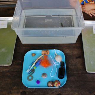 Float or Sink Preschool Activity