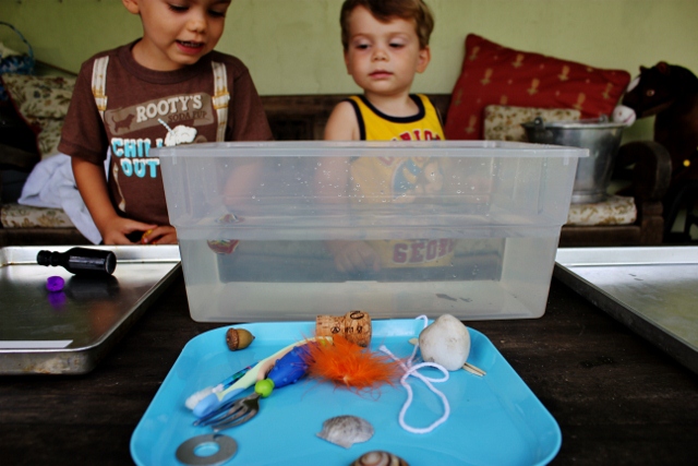 Float or Sink Preschool Activity • Mamaguru