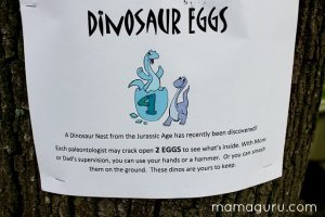 Dinosaur Eggs