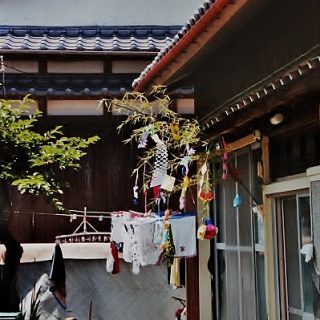 Tanabata 七夕