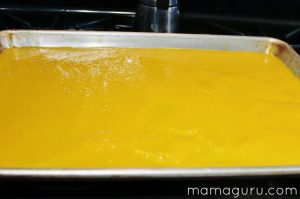 Homemade Mango Fruit Leather