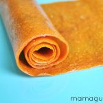 Making Groceries: Fruit Leather