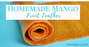 Homemade Mango Fruit Leathe