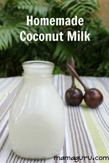 Homemade Coconut Milk Recipe