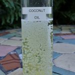 Weather by Coconut Oil