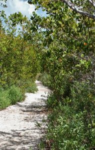 biscayne national park 046 (408x640)