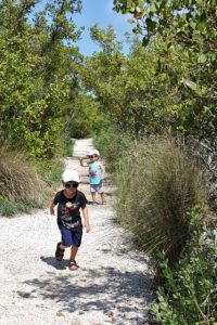 biscayne national park 064 (427x640)