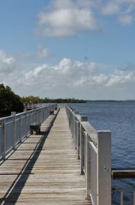 biscayne national park 065 (421x640)