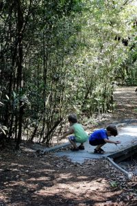 nature hunt