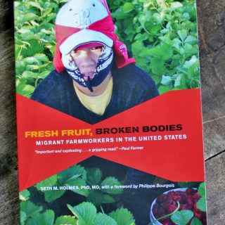 Fresh Fruit Borken Bodies Book Review