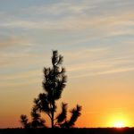 View From the Middle