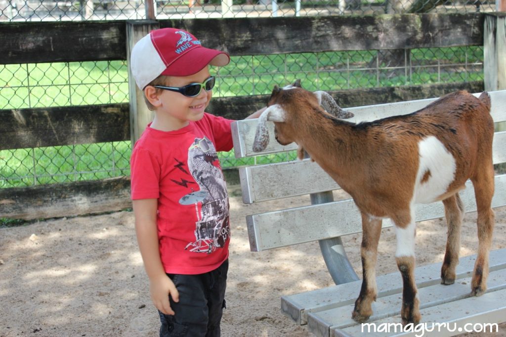 2014-06 baby goats 026 (1280x853)