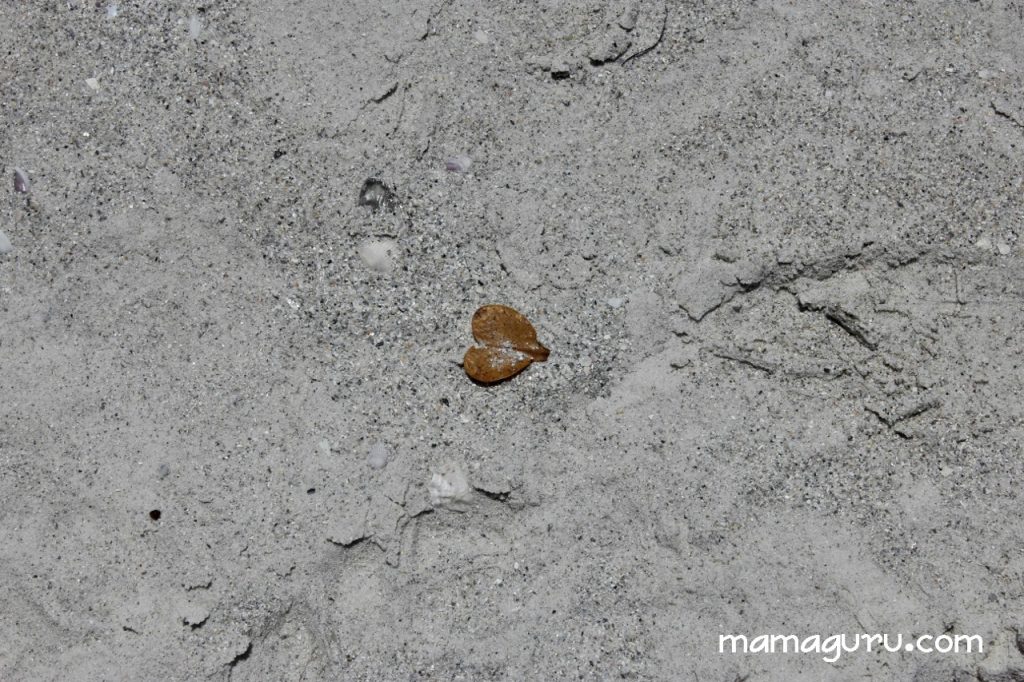 heart leaf on sand