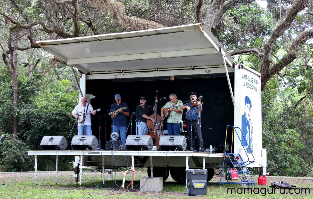 The Intangible Childhood, blugrass band performs