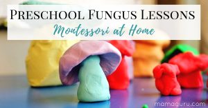 Preschool Fungus Lesson