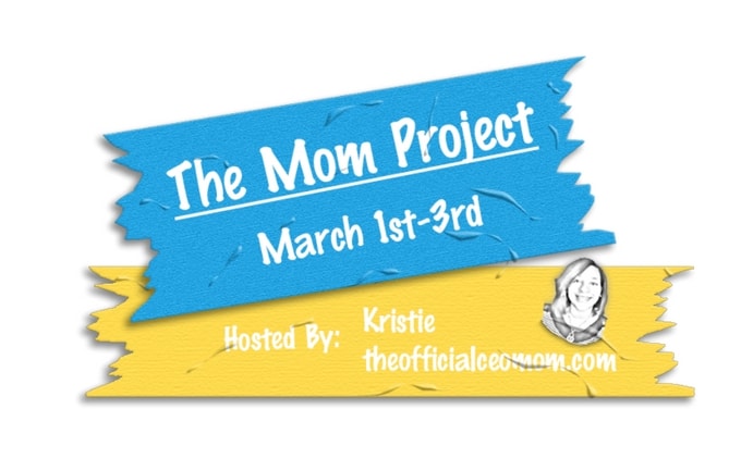 The Mom Project 2017 Summit