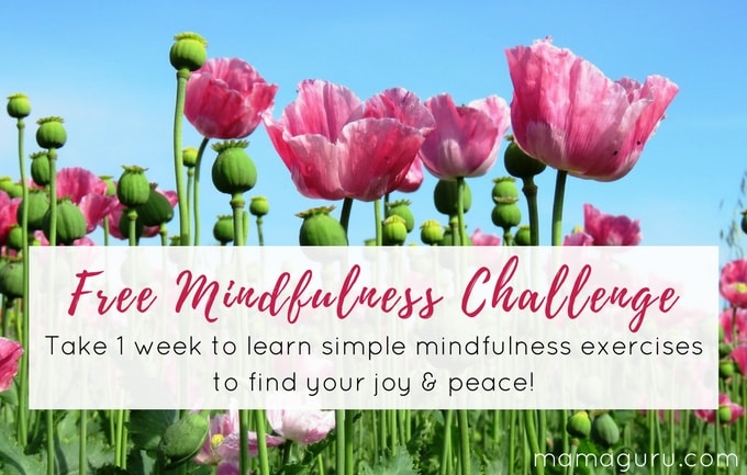 Free Mindfulness Challenge