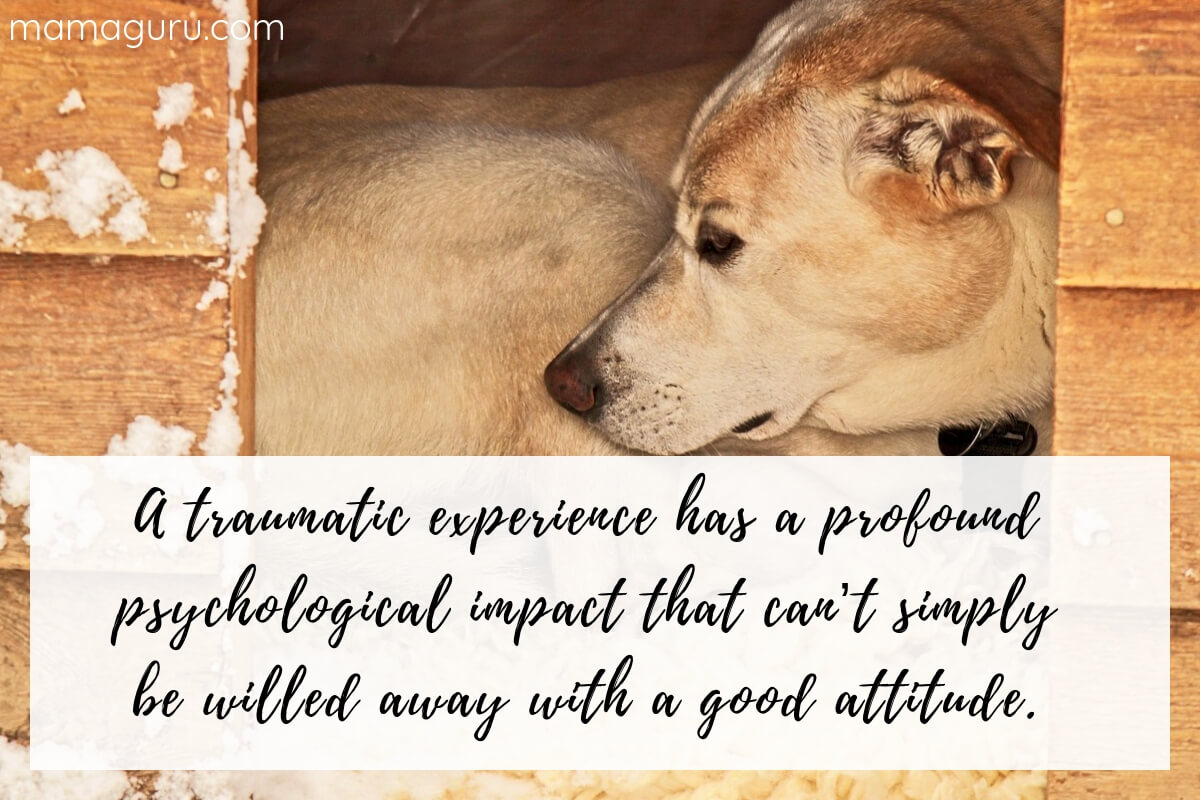 A traumatic experience has a profound psychological impact that can’t simply be willed away with a good attitude.