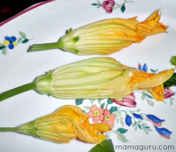 Fried Squash Blossoms Stuffed with Herbed Goat Cheese