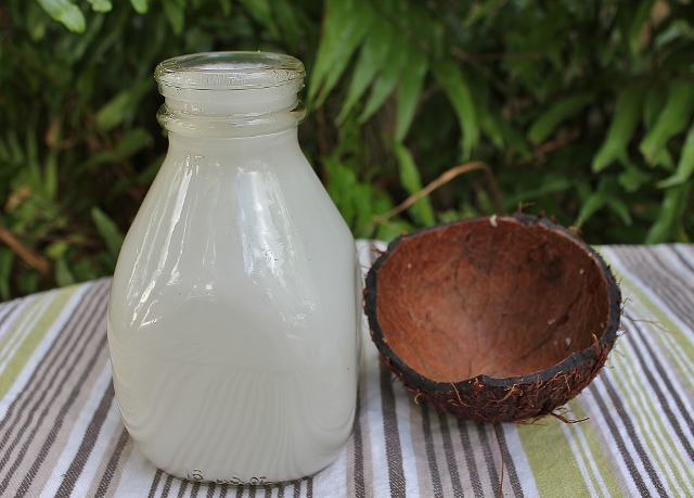 coconut milk with coconut shell • Mamaguru