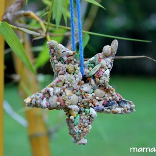 Birdseed Ornaments- Make Cookies for the Birds!